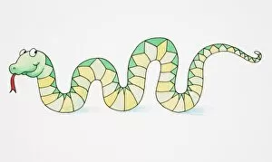 Images Dated 10th January 2007: Comical depiction of smiling green and yellow snake, slithering with tongue sticking out, side view