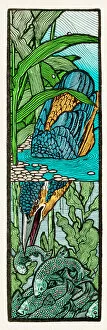 Art Nouveau Gallery: Common kingfisher fishing in river drawing art nouveau 1898