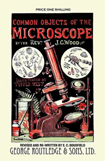 Microscopic Prints: Common Objects of the Microscope