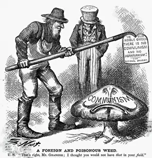 Communism Prints: Communism: A Foreign and Poisonous Weed Cartoon by Thomas Nast
