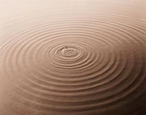 Circles Collection: Concentric rings on water