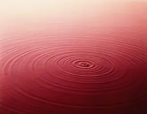 Exploitation Prints: Concentric rings on water