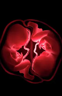 Birth Prints: Twins