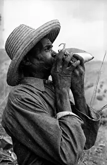 Greater Antilles Prints: Conch Music