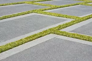 Marking Gallery: Concrete slabs with grass growing in the gaps
