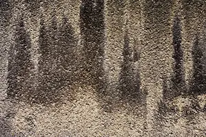 Fill Prints: Concrete wall