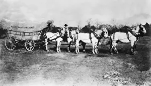Conestoga Wagon With Six Horses