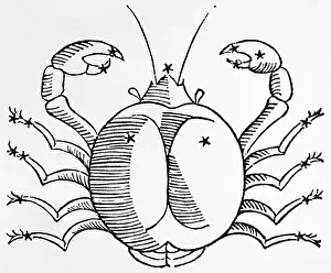 Constellation; Cancer The Crab