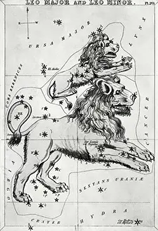 Constellation Leo -- Illustration