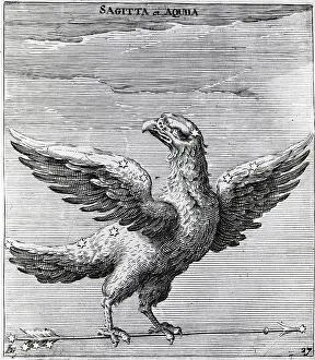 Mythological Theme Prints: Constellation Sagitta & Aquila--Illus