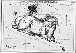 Constellations Aries, Musea Borealis;Engr