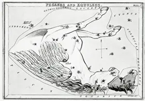 Mythological Theme Prints: Constellations Pegasus & Equuleus
