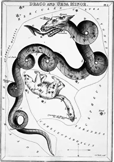 Bear Prints: Constellations;Little Bear;Dragon;Engr