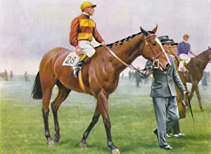Racetrack Prints: Contrevent