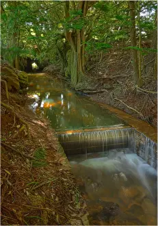 South Pacific Prints: Convict built waterway that runs through the Kingston common and into Emily Bay
