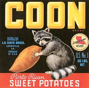 Potato Prints: Coon Sweet Potatoes