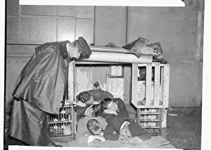 A Cop Looks in the Shack