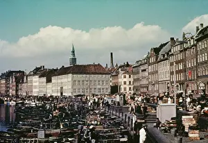Colour Photograph Prints: Copenhagen Fish Market