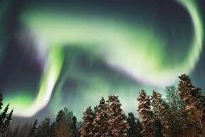 Northern Lights Collection: copy space, forest, green, horizontal, light, long exposure, low angle view, majestic