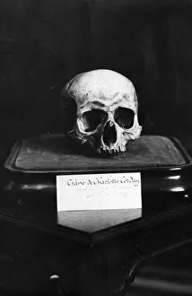 Henry Guttmann Collection Gallery: Cordays Skull