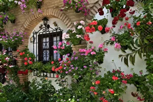 Travel Destinations Gallery: Cordoba, Spain Collection