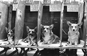 Images Dated 1976: 