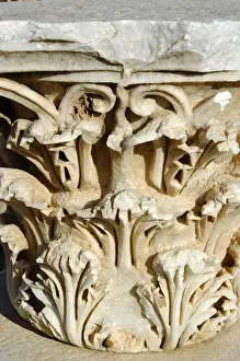 Excavation Prints: Corinthian capital Leptis Magna, Libya