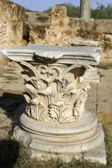 Nature’s Masterpiece: Corinthian capital Leptis Magna Libya