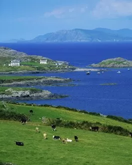 Images Dated 6th March 2018: Co Cork, Garinish Island, Beara Peninsula, Ireland