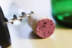 Cork Prints: Corkscrew, cork, wine bottle
