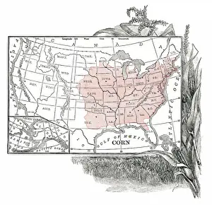 Corn crop distribution engraving 1867