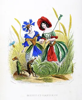 Grandville Prints: Cornflowers and Poppies - Stunning Hand-colored plate from 'Les Fleurs Animees by J