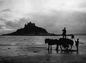 View Into Land Prints: Cornish Seaweed