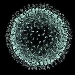 Close Up Gallery: Coronavirus, artwork