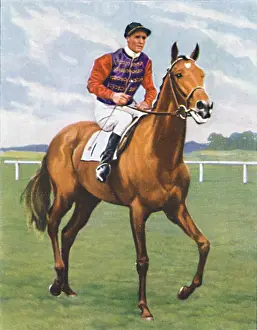 Racetrack Prints: Cosmopolitan