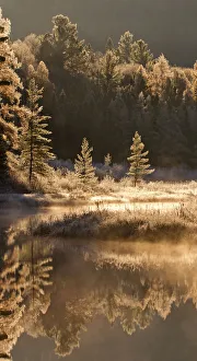 Images Dated 24th October 2014: Costello Creek - Algonquin Park