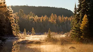 Images Dated 24th October 2014: Costello Creek - Algonquin Park