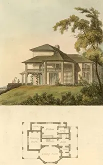 Uncover the past, frame the future with timeless illustrations: Cottage Ornee