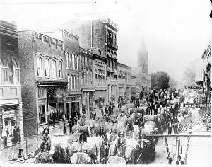 Cotton Prints: Cotton Is Hauled Down Streets Of Rock Hill, South Carolina