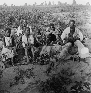 Farming Prints: Cotton Pickers