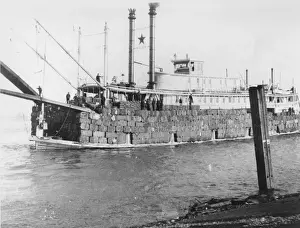 At Sea Prints: Cotton Ship