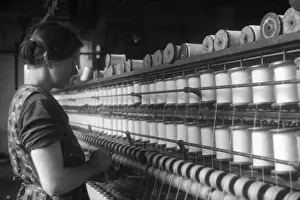 Cotton Worker