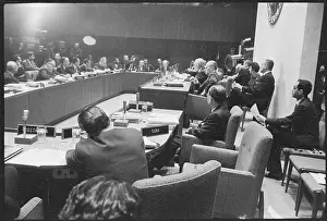 Council of the Organization of American States