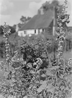 Country Cottage