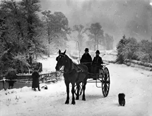 Landscape Male Animal Working Prints: Country Doctor
