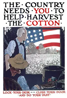 Great War Prints: The Country Needs You To Help Harvest The Cotton