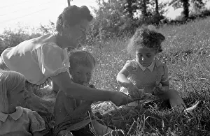 Country Picnic