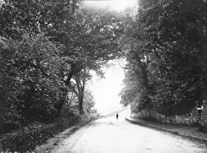 Country Road