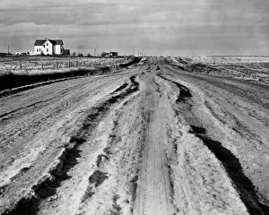 North Dakota Prints: Country road