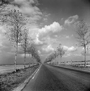 Three Lions Collection: Country Road